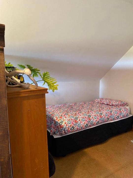 טימארו Hadlow Sunrise Retreat מראה חיצוני תמונה